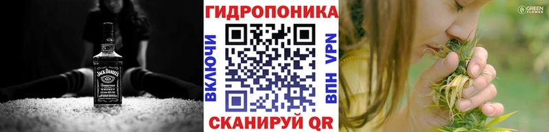 где купить наркотик  Печора  Бошки марихуана SATIVA & INDICA 